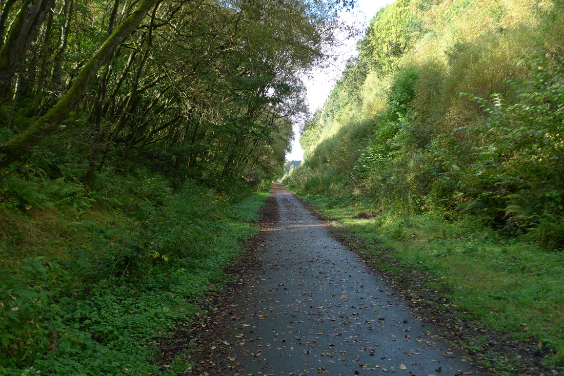 Cycle path from Dunblane to Doune