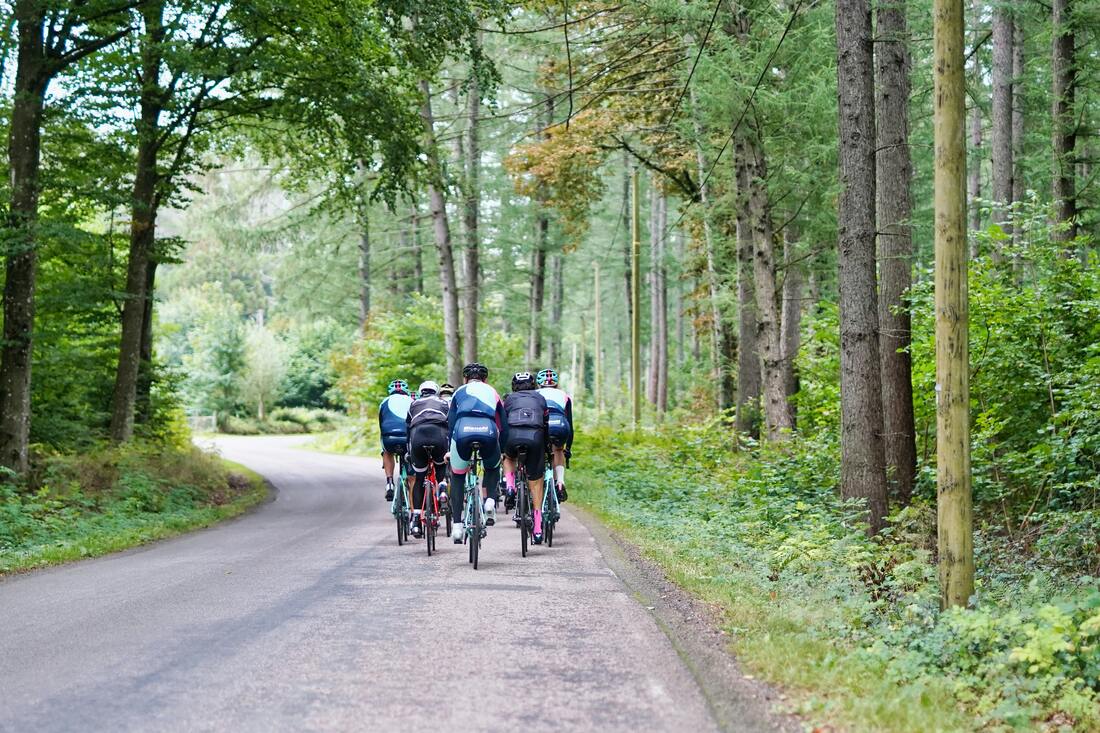 A group of cyclists on a road with a forest
