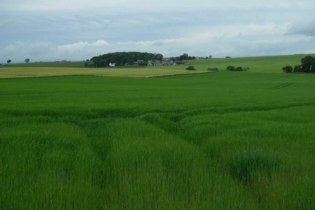 Farmland by the B9127 road, near Arbroath