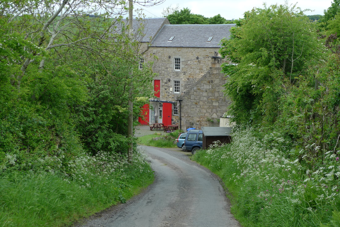 A single-track road curves through the trees to Dalgarveen Mill. It's a stone building with a red door