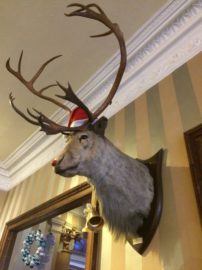 Stag's head in The Royal Highland Hotel Inverness