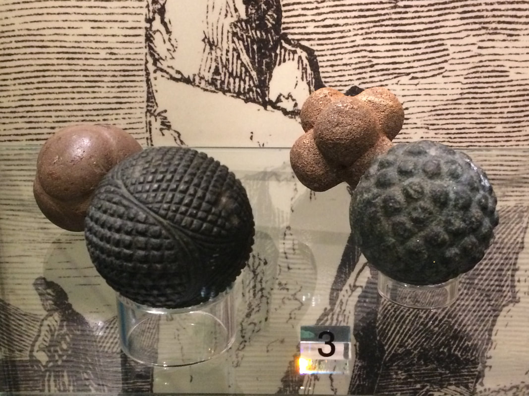Neolithic carved balls at Perth Museum