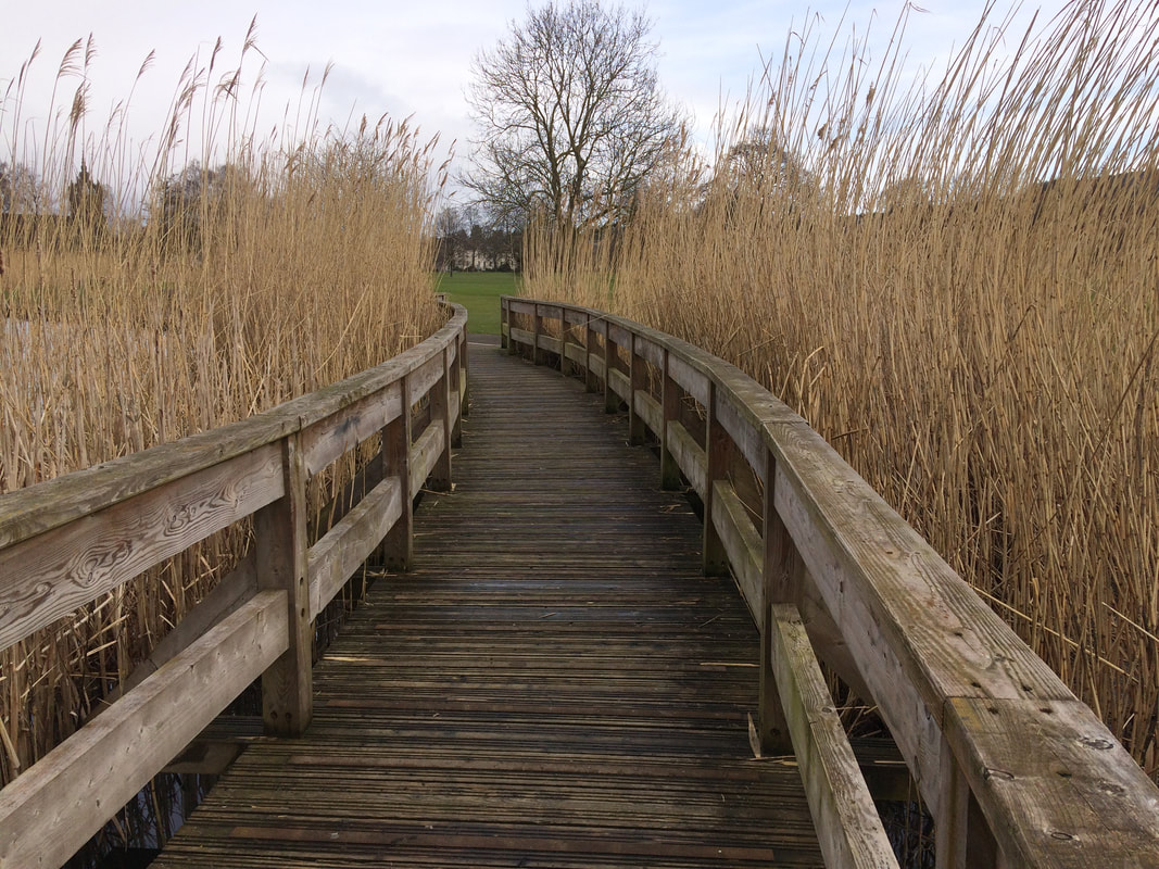 The boardwalk in South Inch Park, Perth