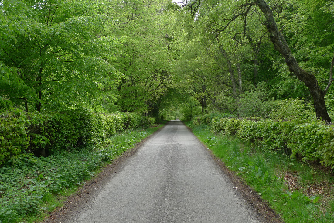 Some of the cycle route between Elgin and Forres