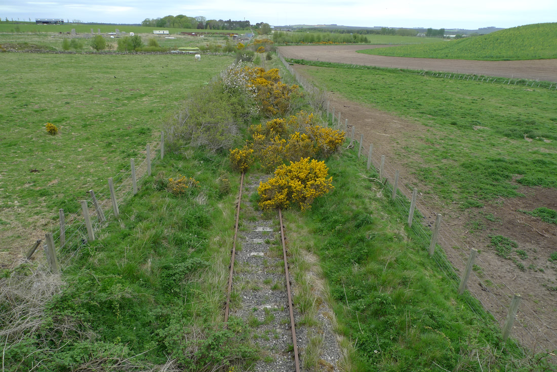 Overgrown railway track at Coltfield
