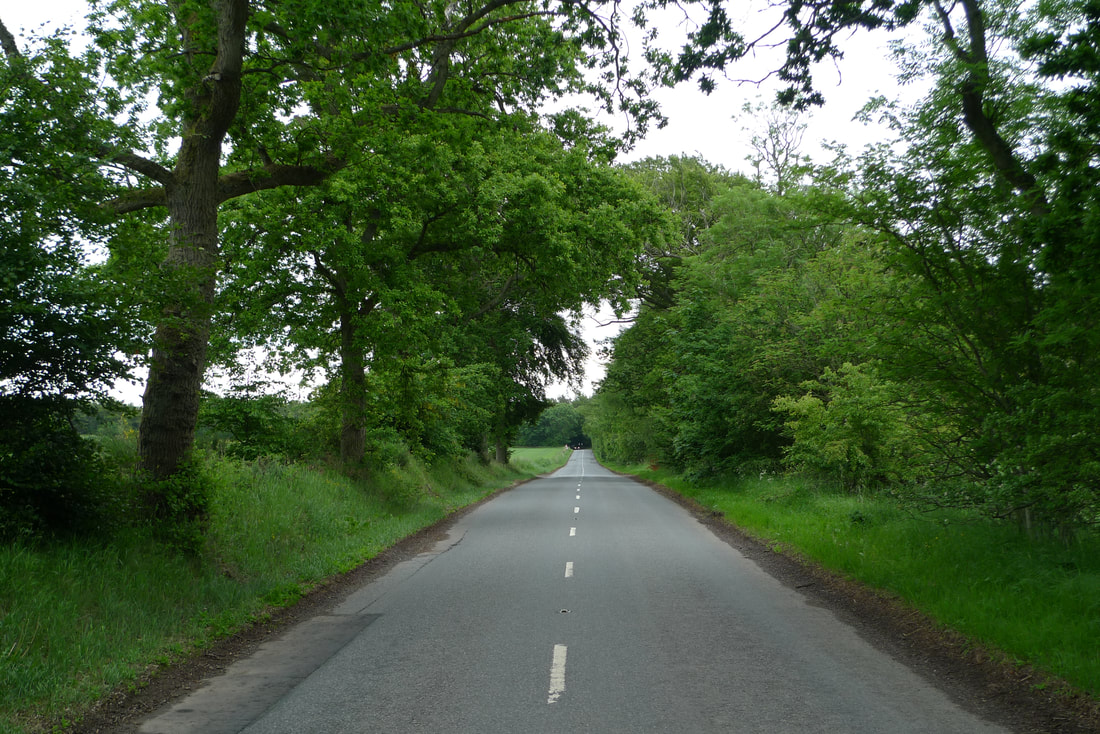 The B9127 road leaving Arbroath. The road is flat, with trees on both sides