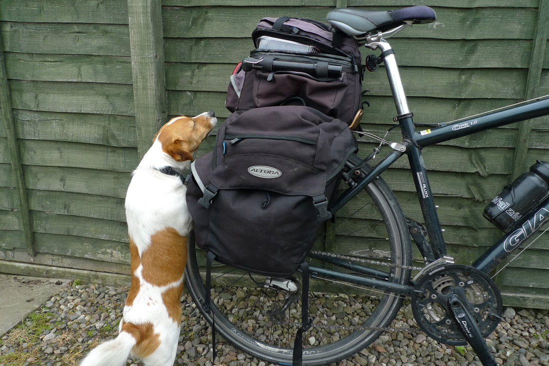Curious Jack Russell investigating my panniers at Milton of Haugh Farm Shop