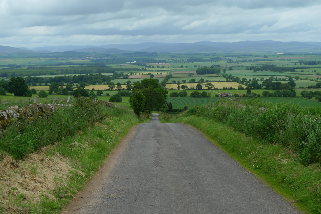 A downhill road with a view of the Cairngorm mountain range on the horizon. Fields, bordered by trees are in the foreground