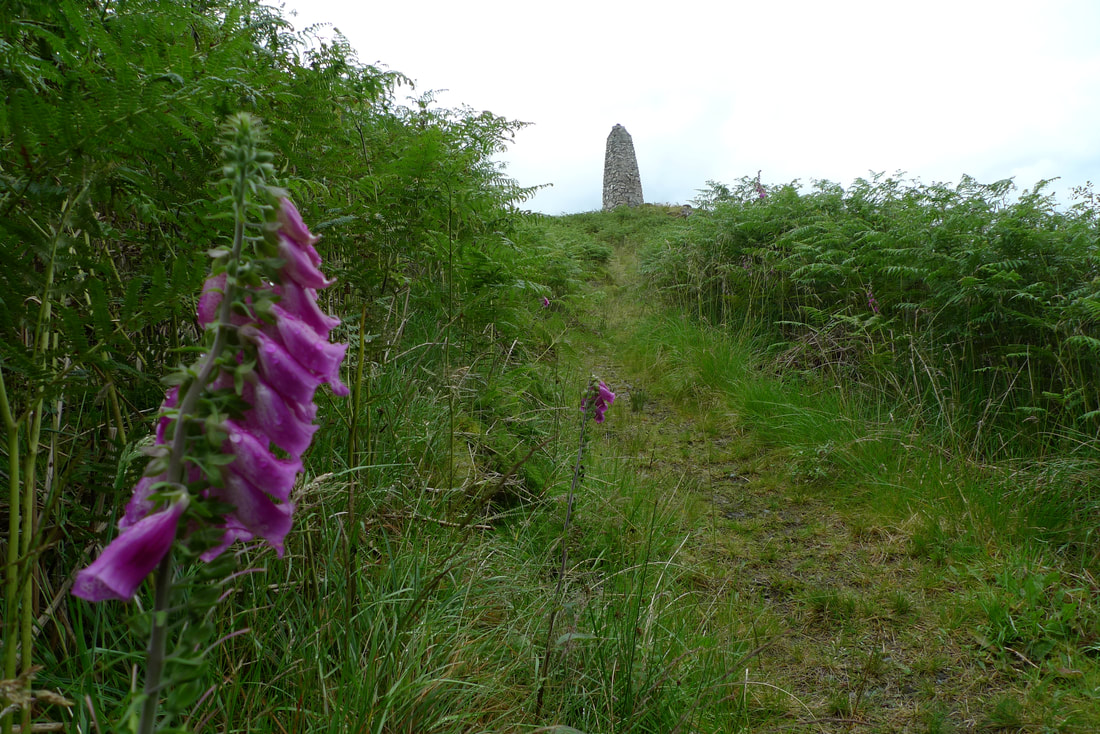 Neil Munro monument. A stone monument on top of a hill with a path through the ferns to reach it