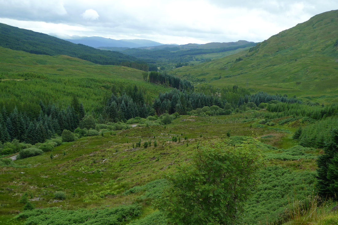 The view of hills and forests from the Neil Munro monument