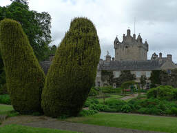 Topiary in the gardens of Cawdor Castle
